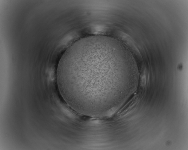 X0000102010620200807251310