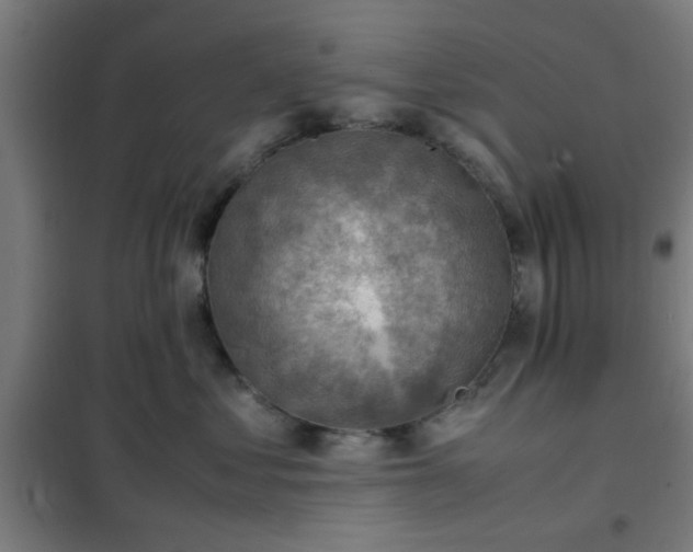 X0000102010621200807251310