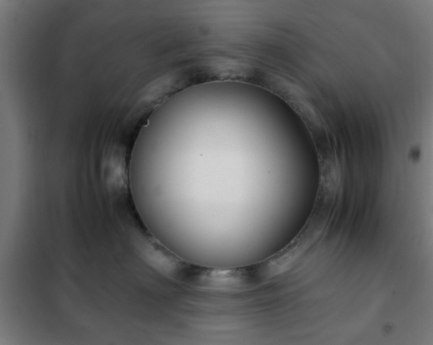 X0000102010622200807251310