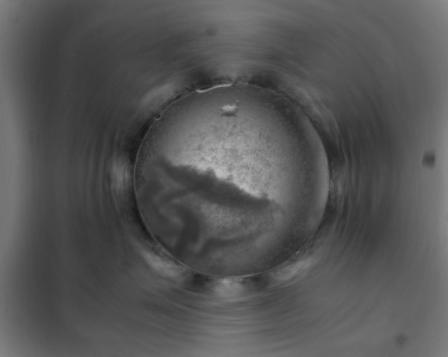 X0000102010623200807251310
