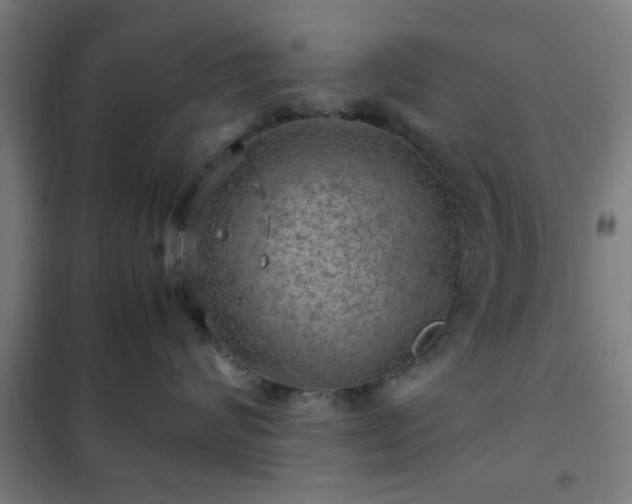 X0000102010624200807251310