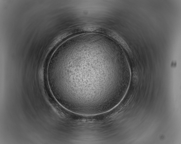 X0000102010626200807251309
