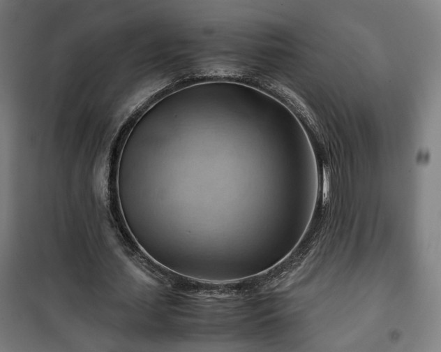 X0000102010627200807251309
