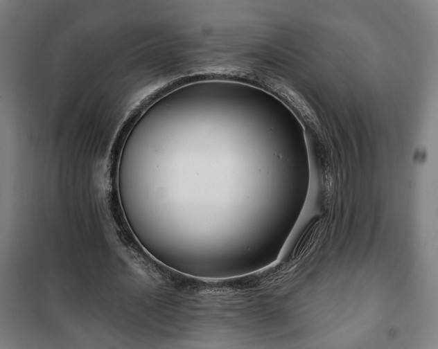 X0000102010628200807251309