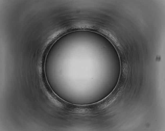 X0000102010629200807251309