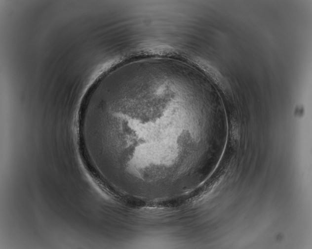 X0000102010630200807251309