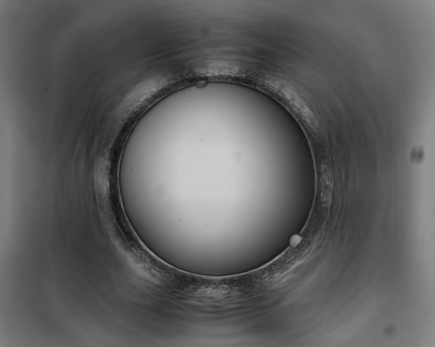 X0000102010631200807251309