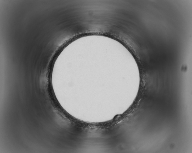 X0000102010632200807251309
