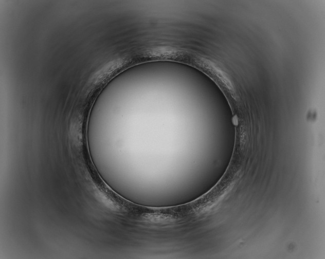 X0000102010633200807251309