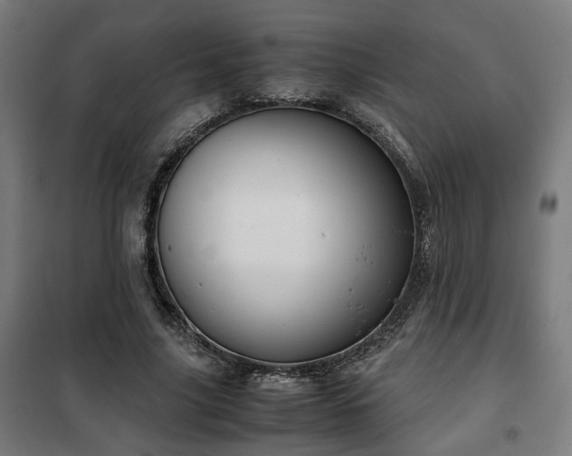 X0000102010635200807251309