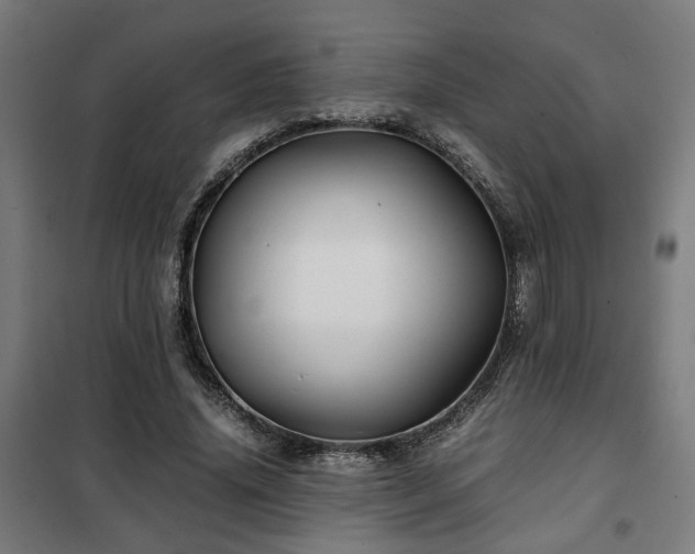 X0000102010636200807251309