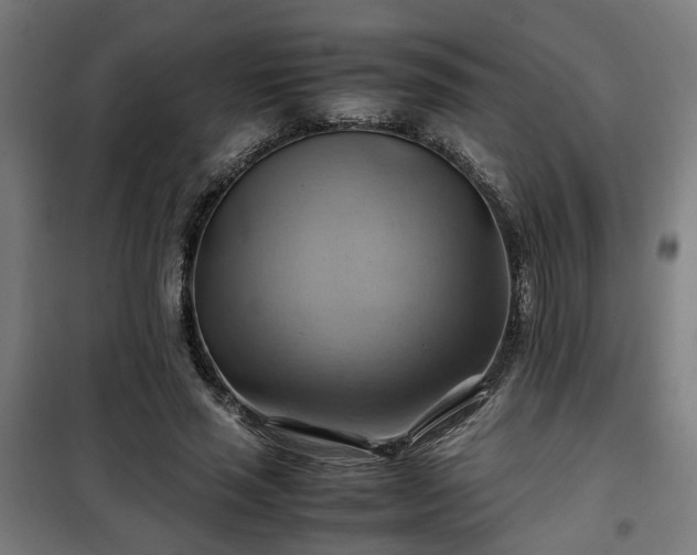 X0000102010637200807251309