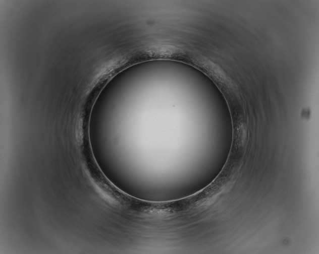 X0000102010638200807251309