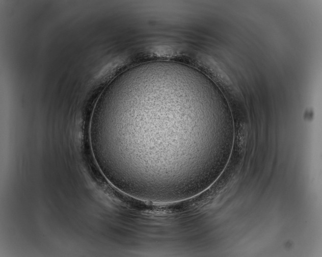 X0000102010639200807251309