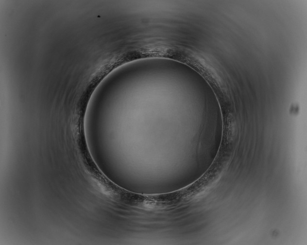X0000102010641200807251309
