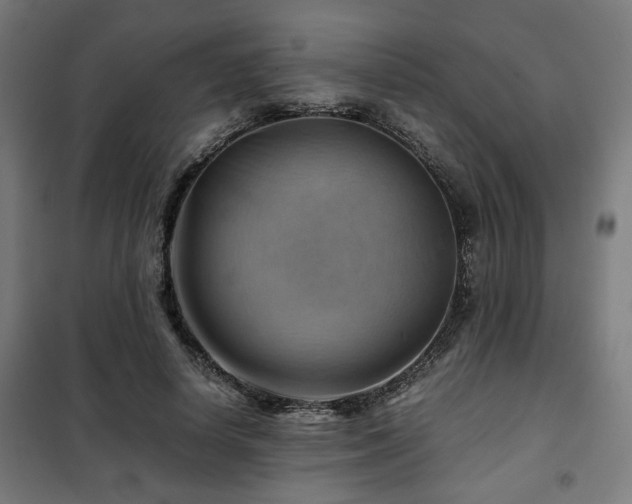 X0000102010642200807251309