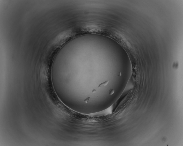 X0000102010643200807251309