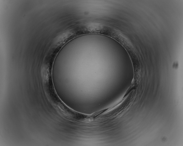X0000102010644200807251309
