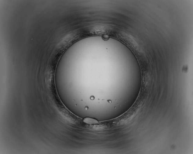 X0000102010645200807251310