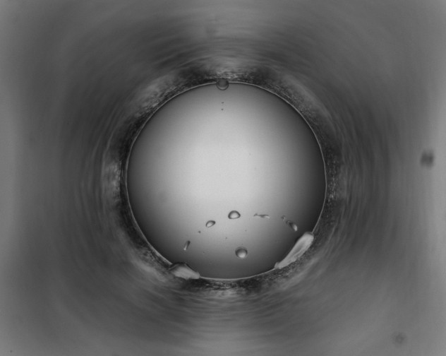 X0000102010646200807251310