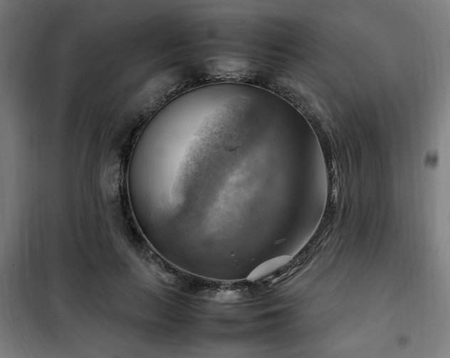 X0000102010647200807251310