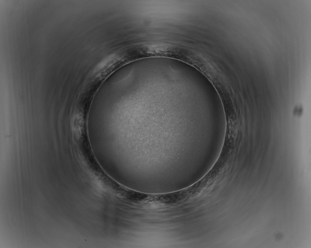 X0000102010648200807251310