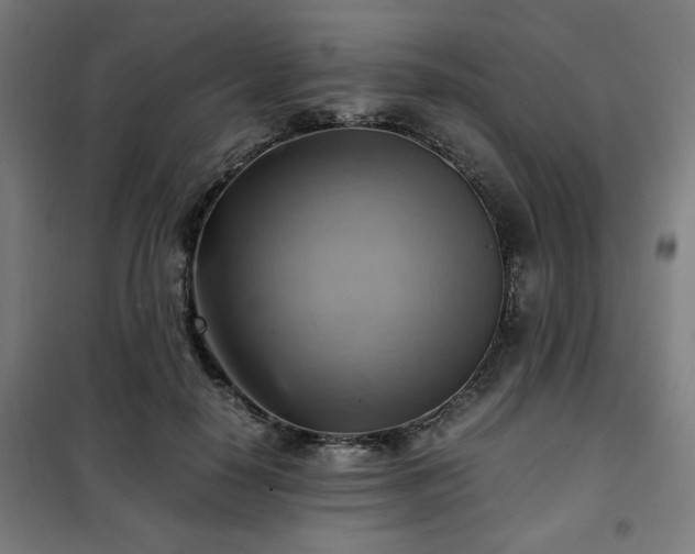 X0000102010650200807251310