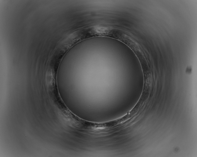 X0000102010651200807251310