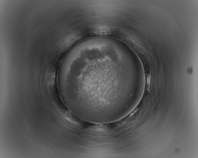 X0000102010652200807251310