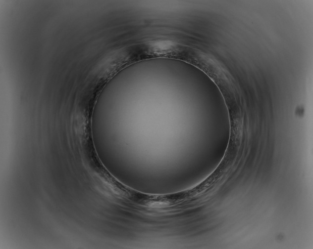 X0000102010653200807251310