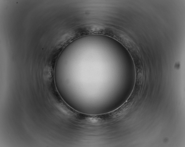 X0000102010654200807251310