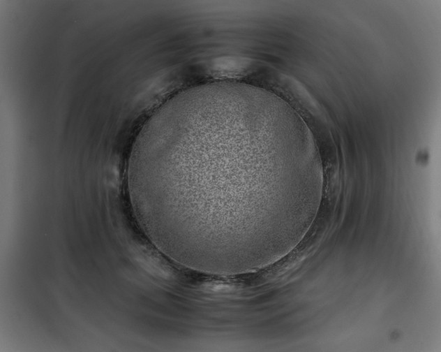 X0000102010655200807251310