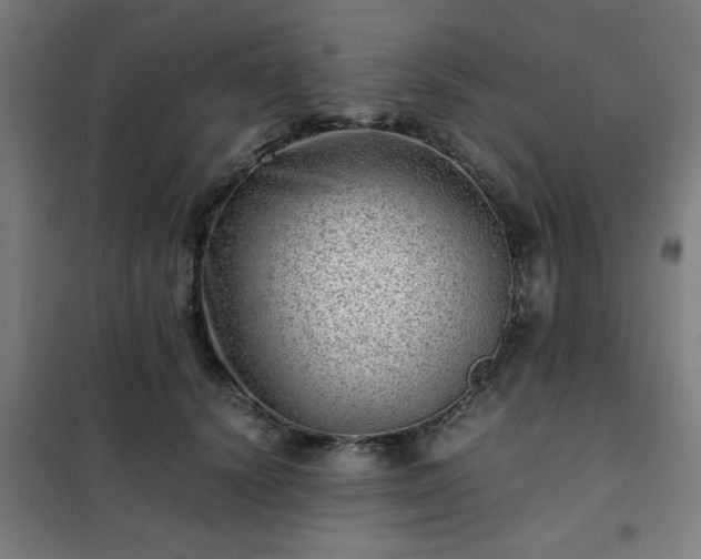 X0000102010656200807251310