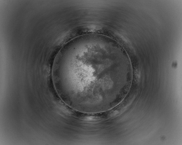 X0000102010657200807251310