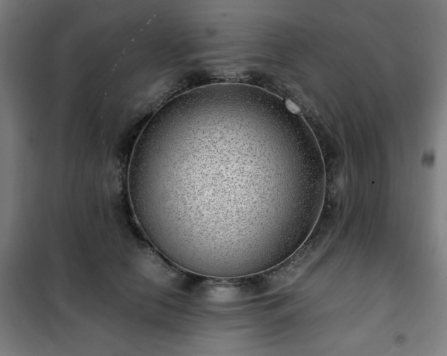 X0000102010658200807251310