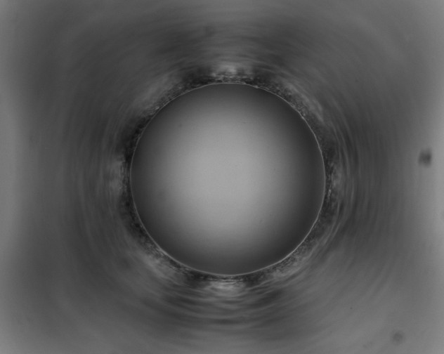 X0000102010659200807251310