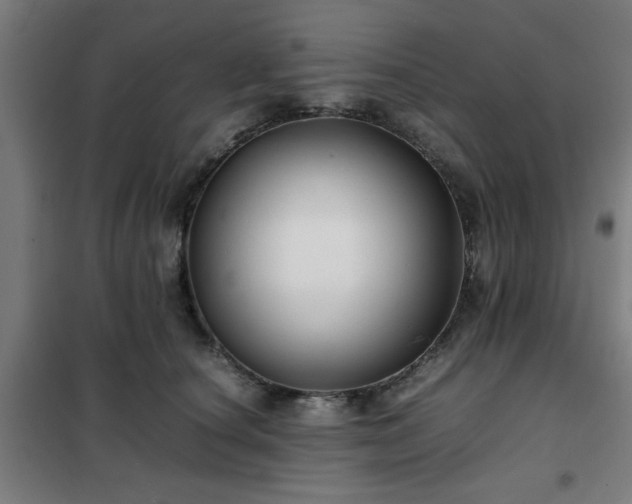 X0000102010660200807251310