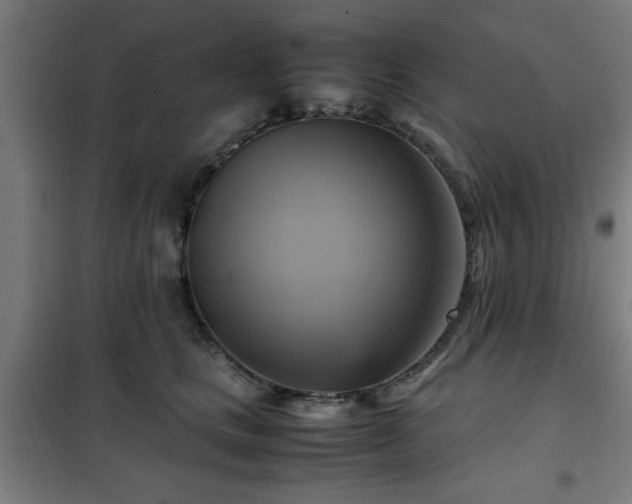 X0000102010661200807251310