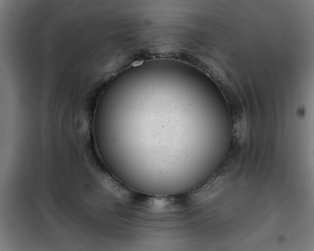 X0000102010662200807251310