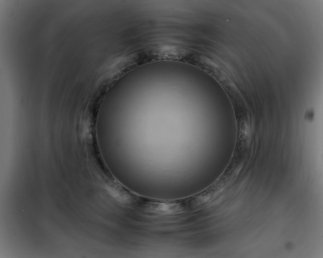 X0000102010663200807251310