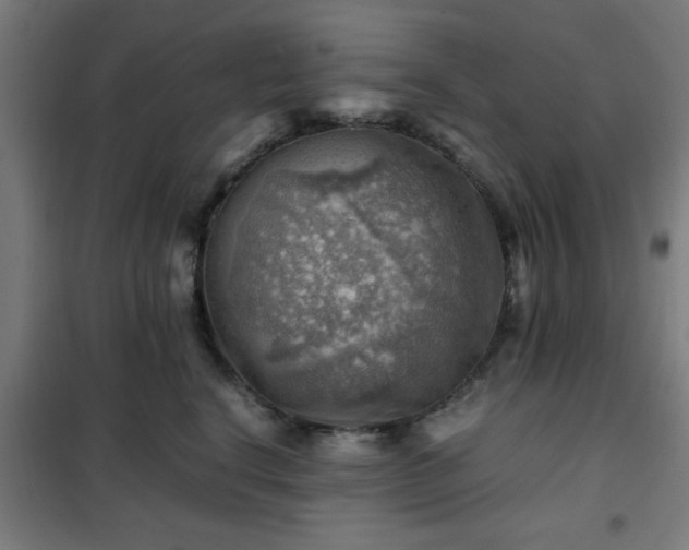 X0000102010664200807251310