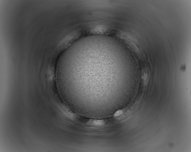 X0000102010665200807251310