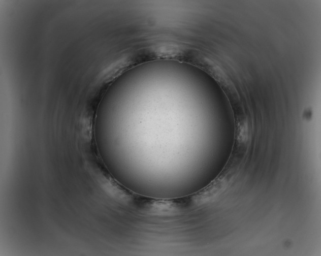 X0000102010666200807251310