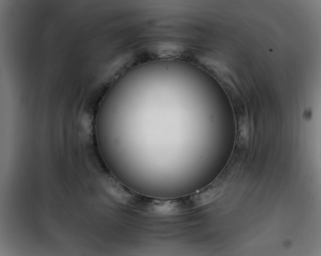 X0000102010667200807251310