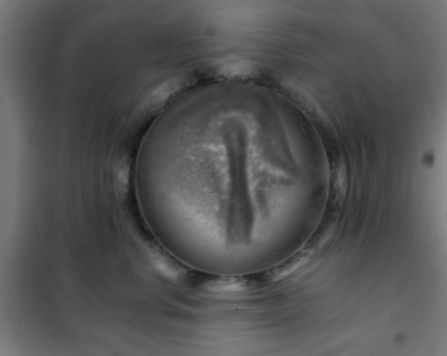 X0000102010668200807251310