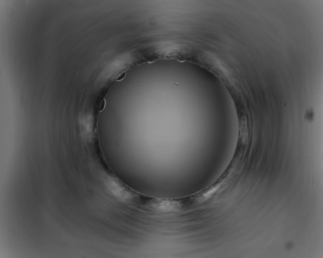 X0000102010670200807251310