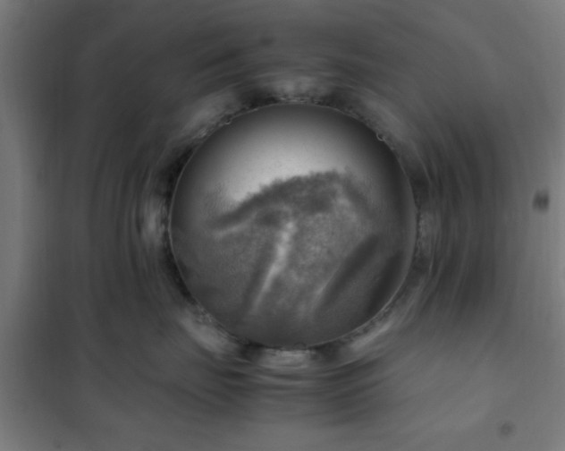 X0000102010671200807251310