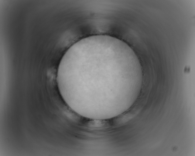 X0000102010672200807251310