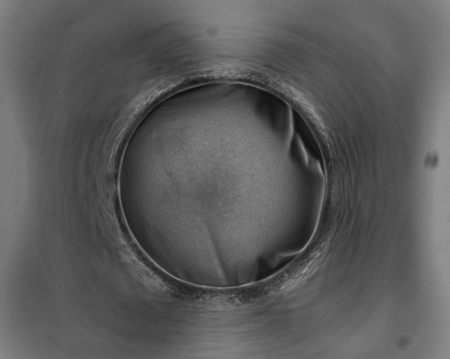 X0000102010673200807251309