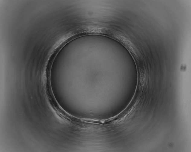 X0000102010674200807251309